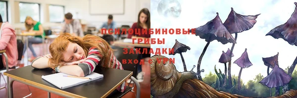 мяу мяу мука Ростов