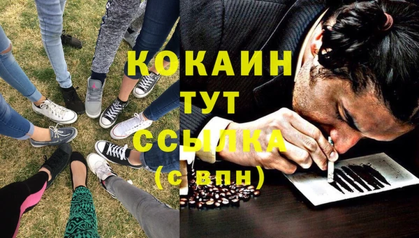ECSTASY Алзамай