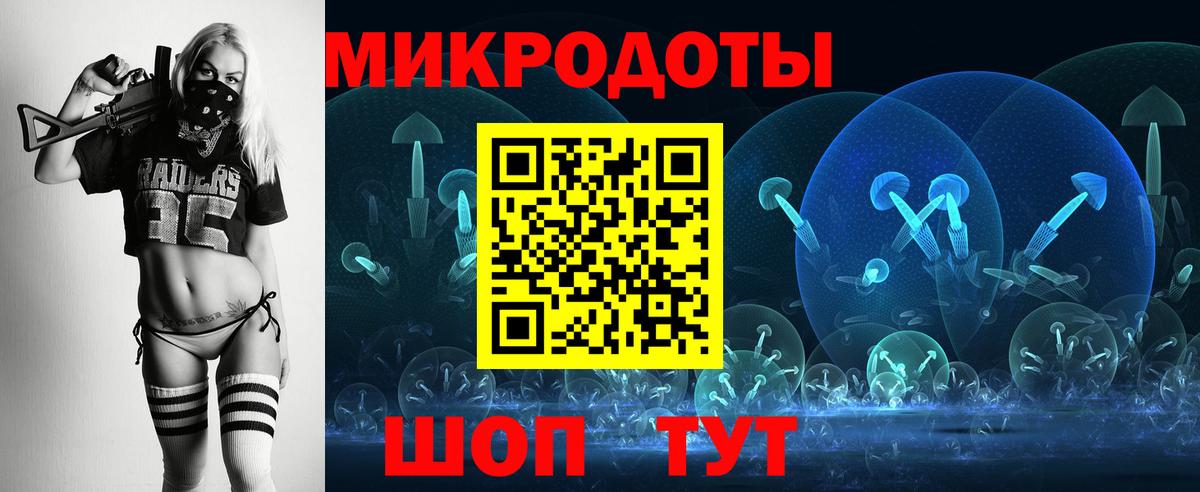 Псилоцибиновые грибы Psilocybe Карпинск