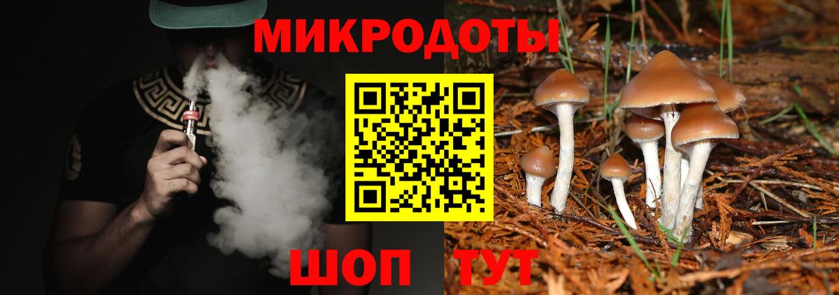 Псилоцибиновые грибы Psilocybine cubensis  Вход с VPN  Карпинск 